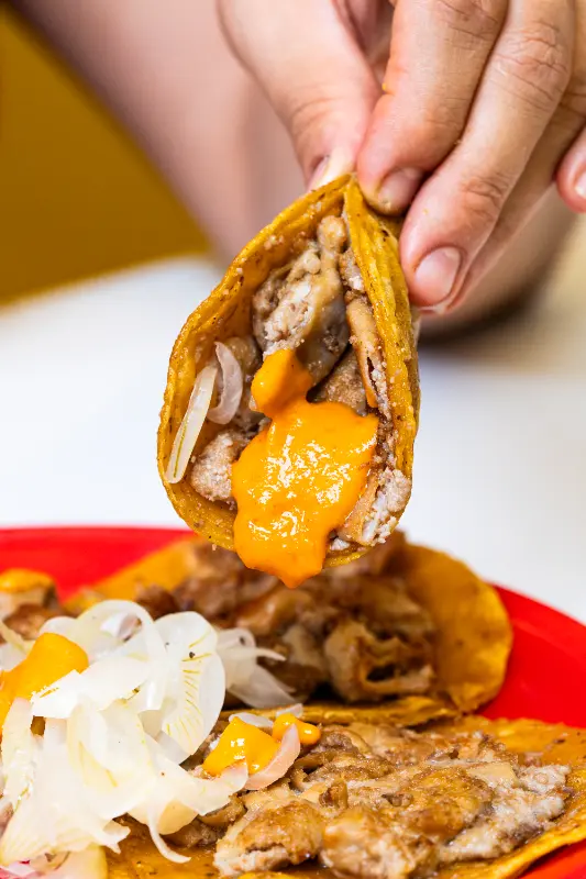 Tako de Tripita