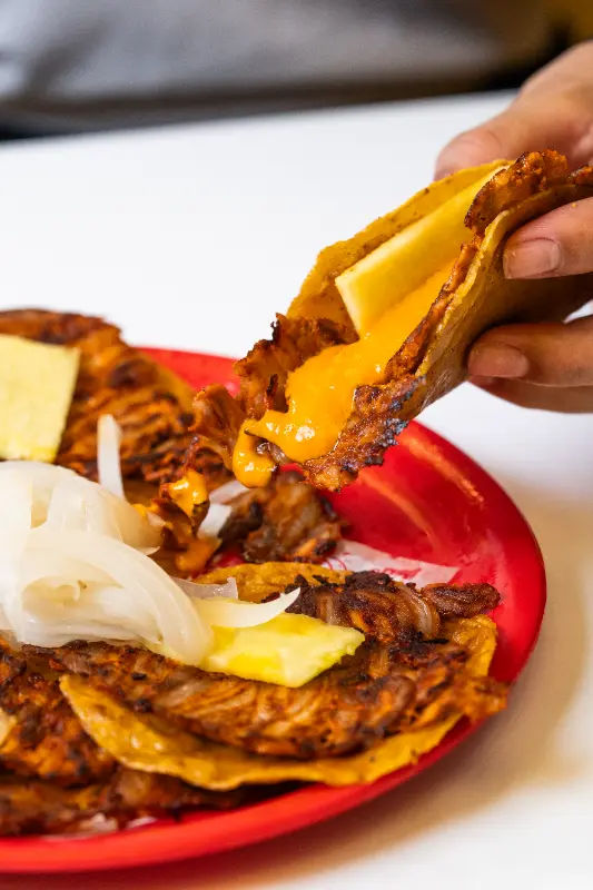 Tako de Pastor